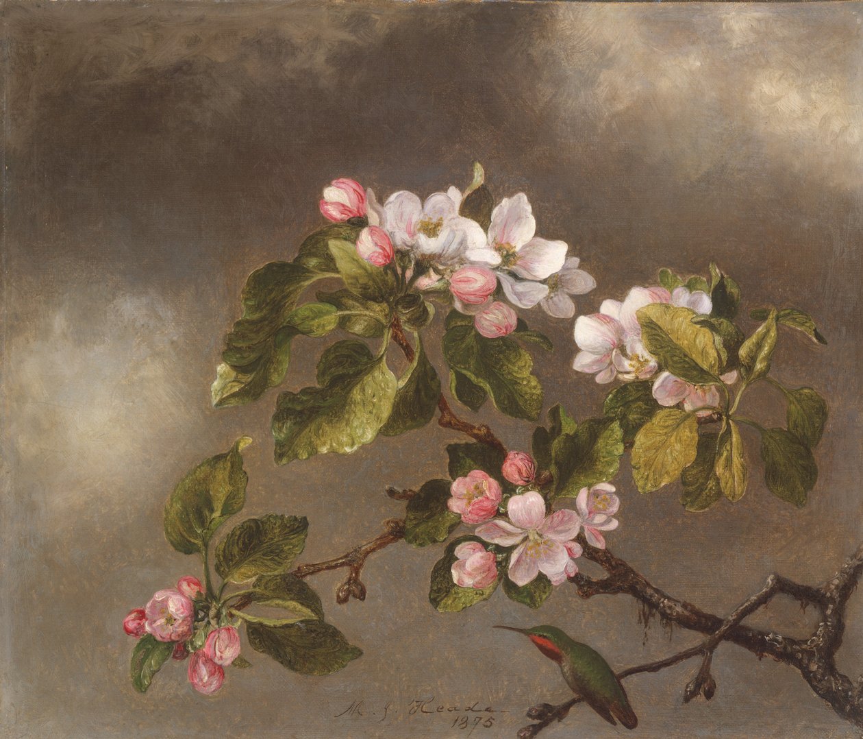 Kolibrie en appelbloesems, 1875 door Martin Johnson Heade