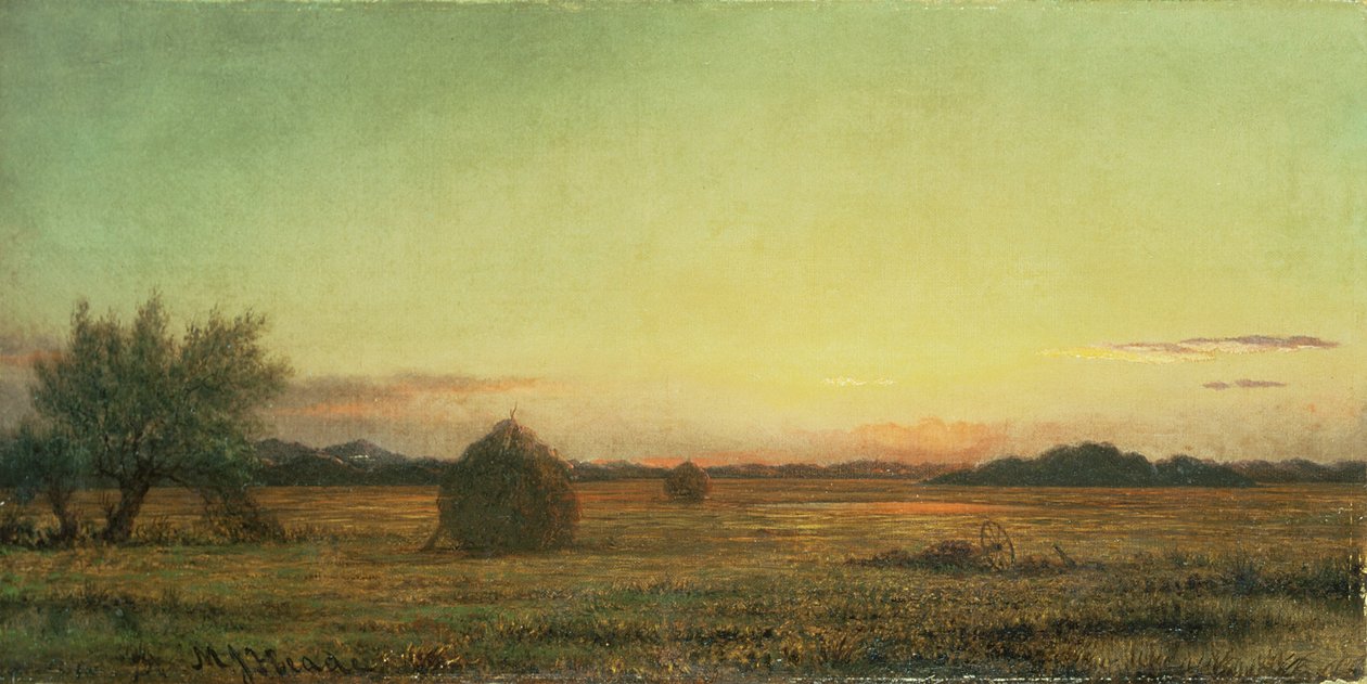 Jersey Weiden door Martin Johnson Heade