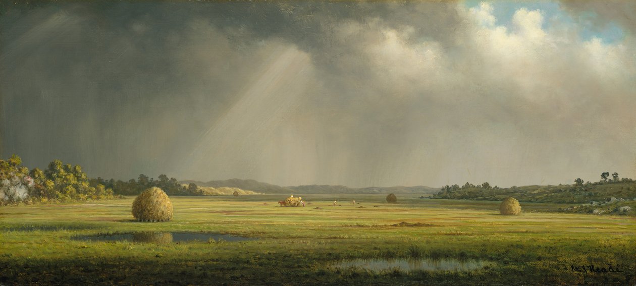 Newburyport-weiden door Martin Johnson Heade