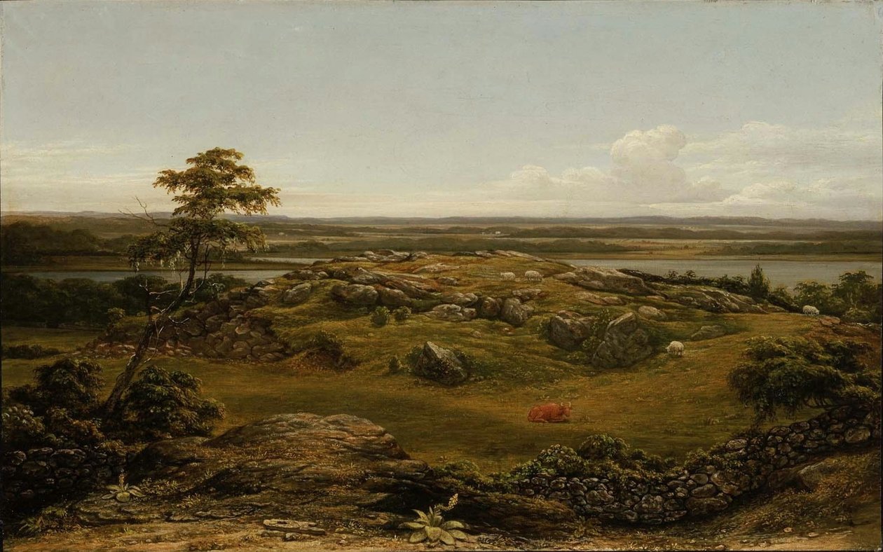Rotsen in New England door Martin Johnson Heade