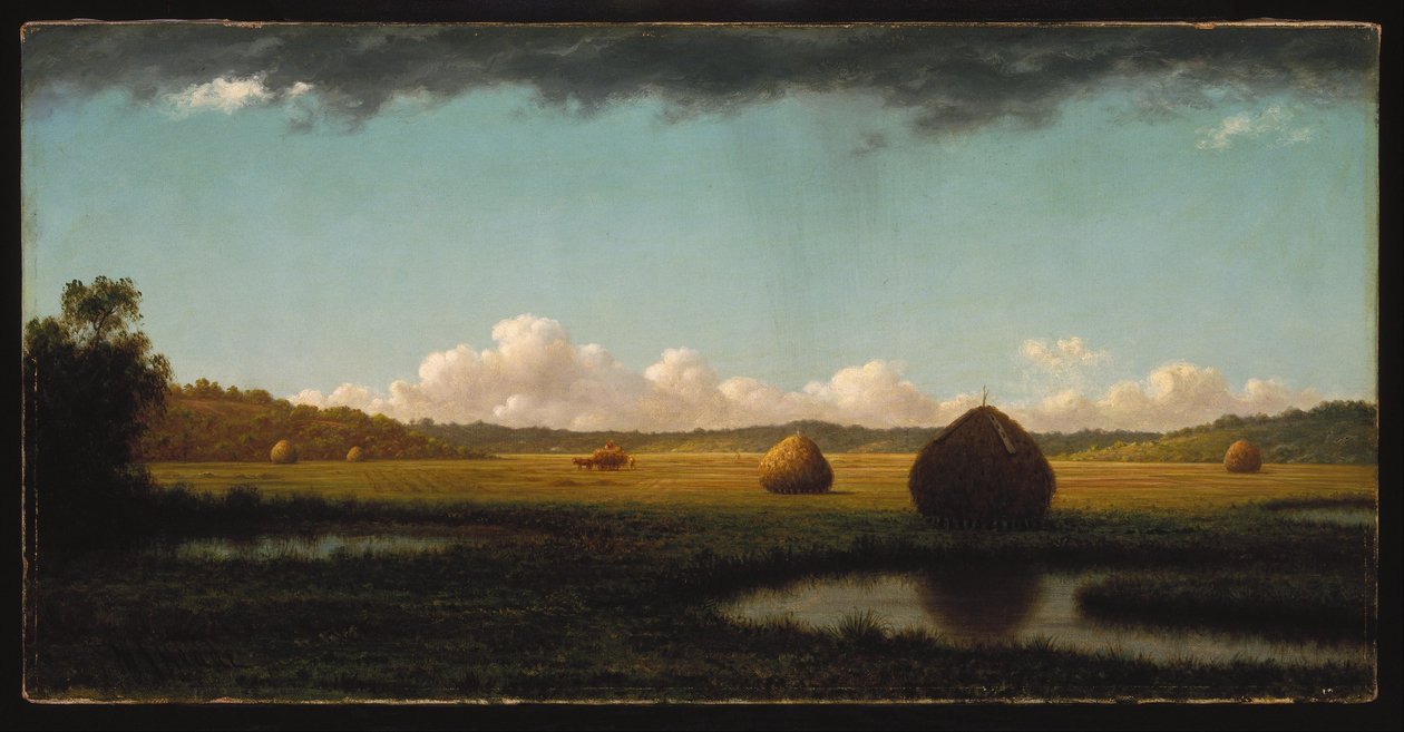 Zomerse douches door Martin Johnson Heade