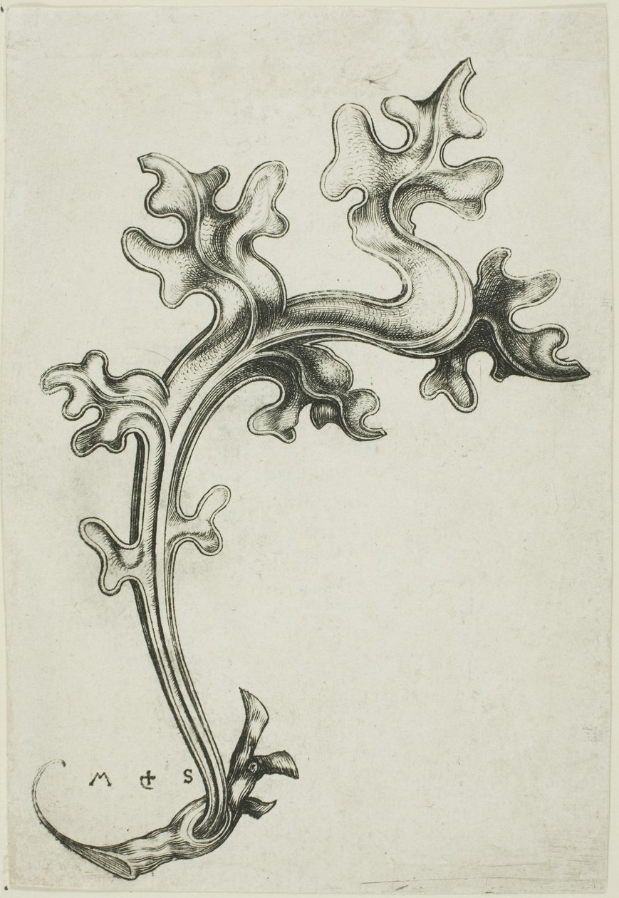 Blad ornament door Martin Schongauer