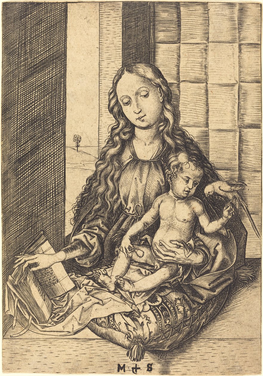 Madonna met een papegaai door Martin Schongauer