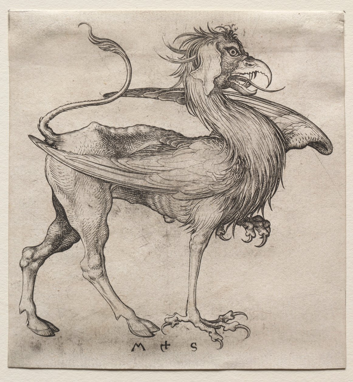 De Griffioen door Martin Schongauer