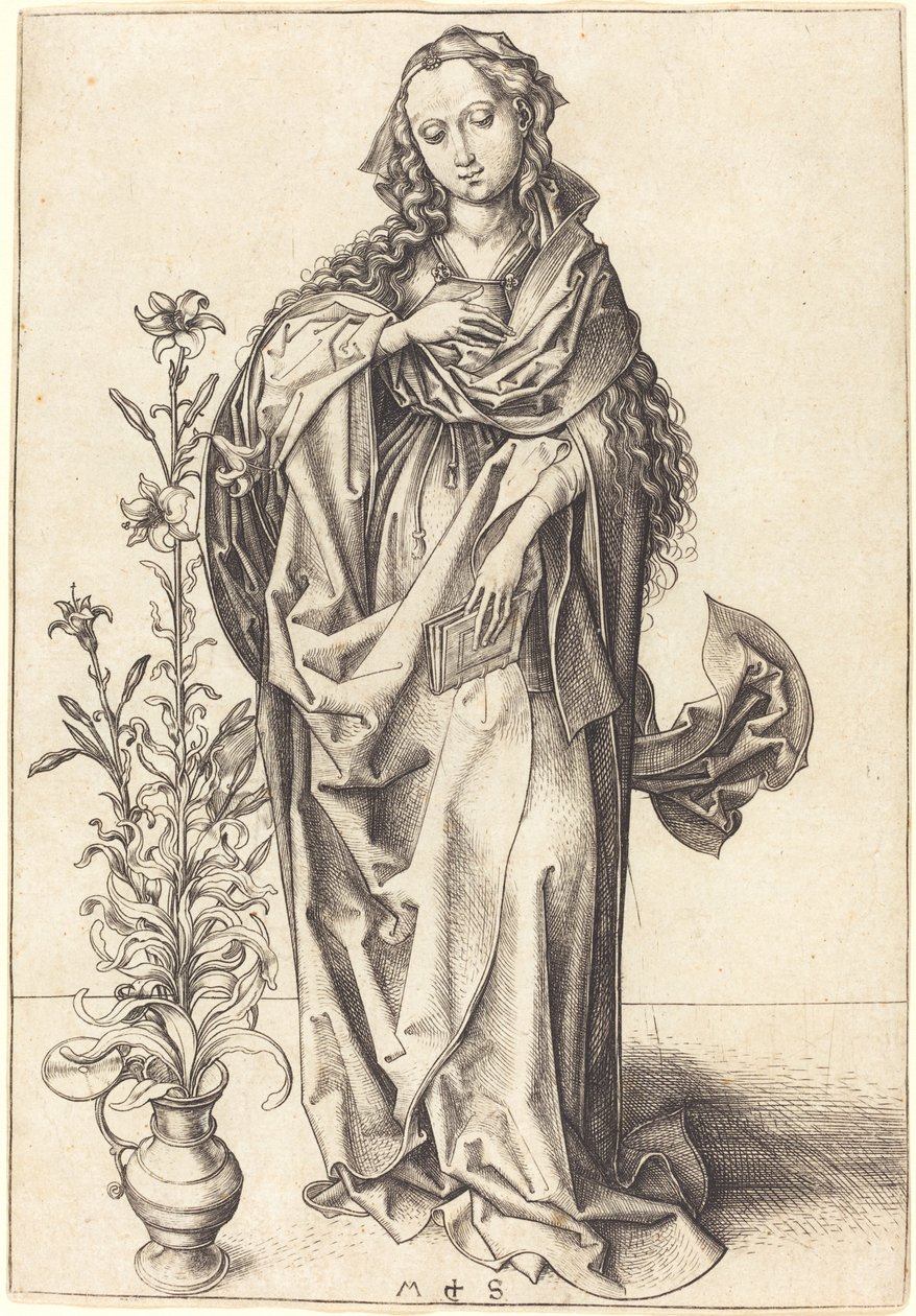 De Madonna door Martin Schongauer