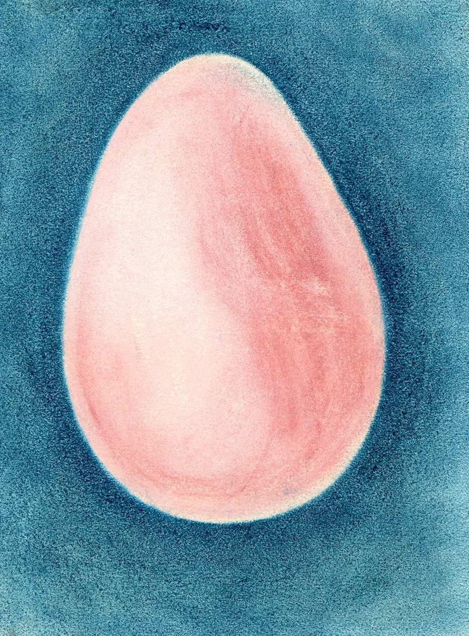 Roze ei door Martina Konitzky
