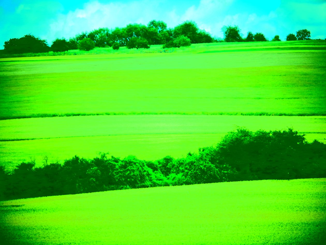 Landschap Groen door Martina Konitzky