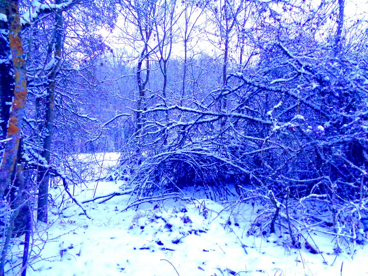 Winter Blauw door Martina Konitzky