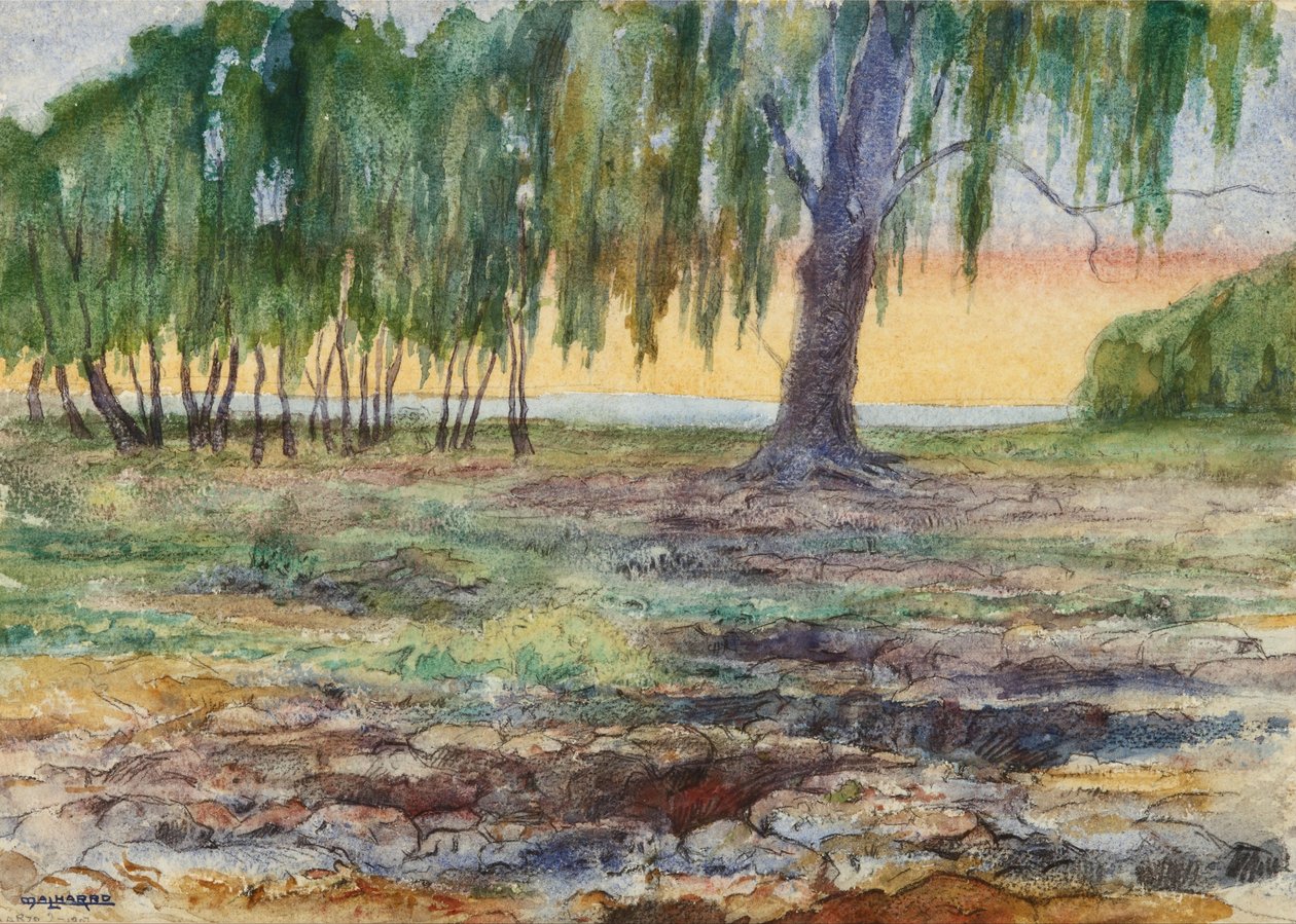 Landschap door Martín Malharro