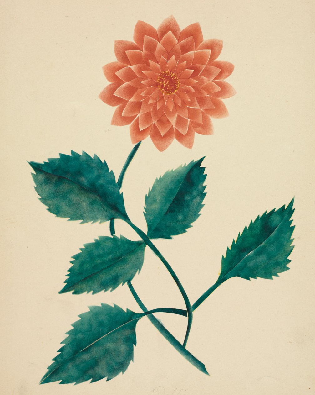 Dahlia door Mary Altha Nims
