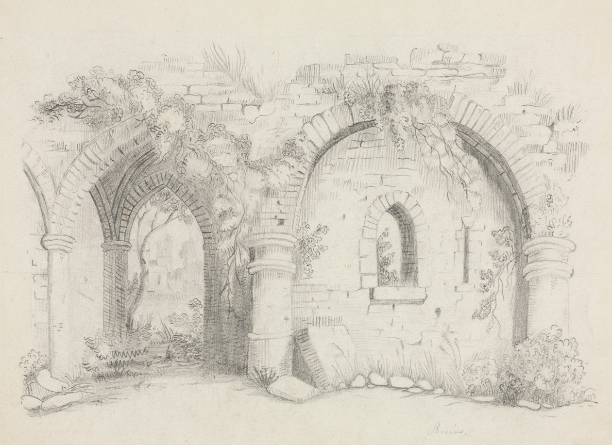 Ruïnes door Mary Altha Nims