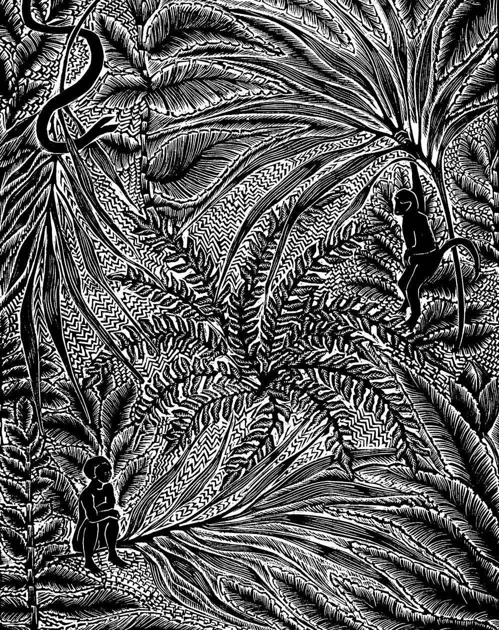 Jungle door Mary Kuper