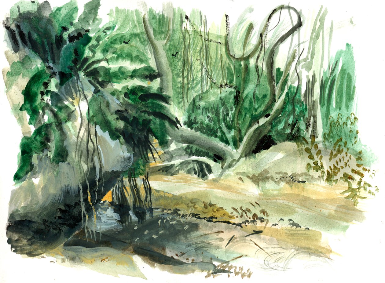 Jungle: Tyrona, Colombia door Mary Kuper