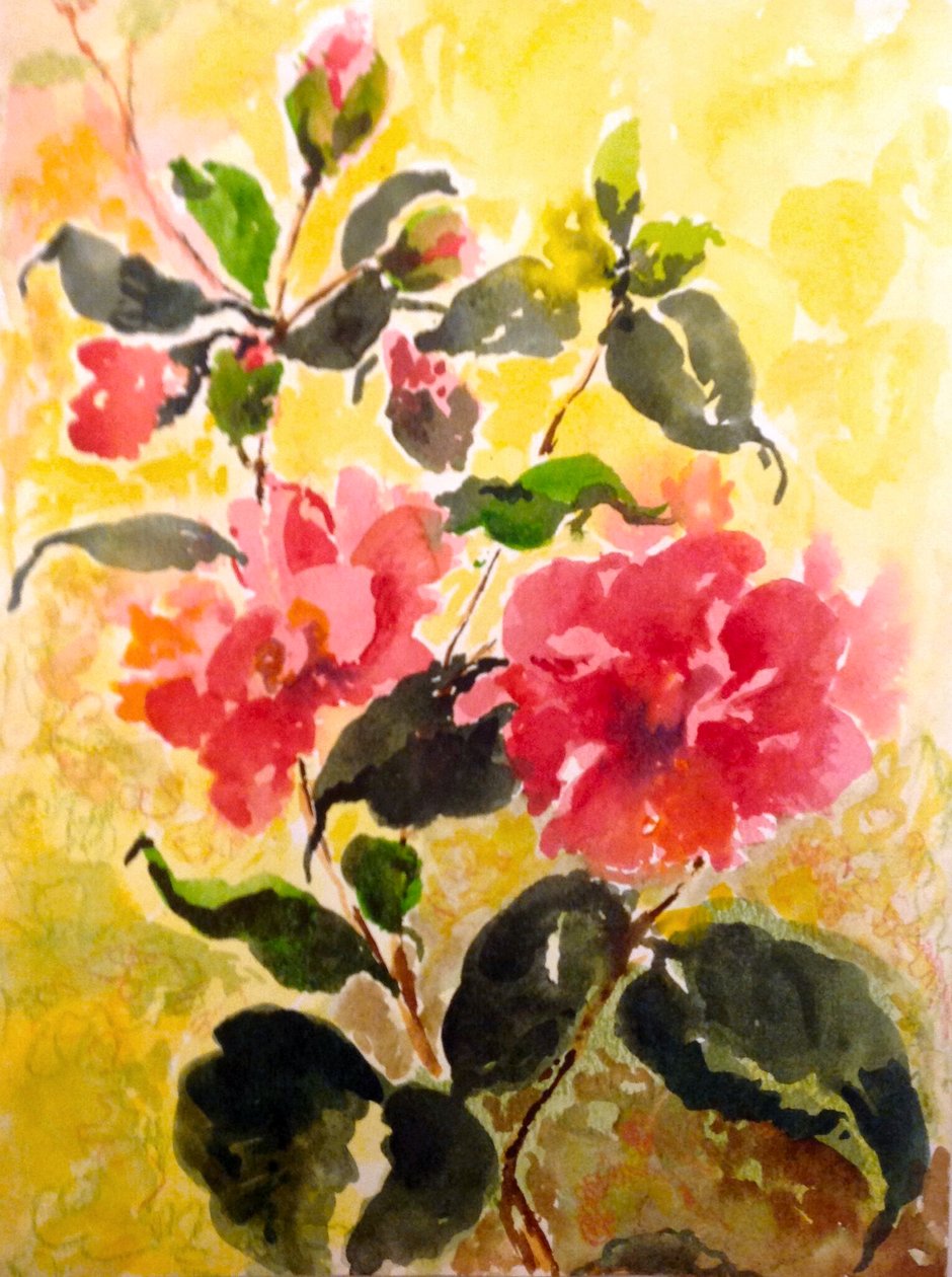 Camelia