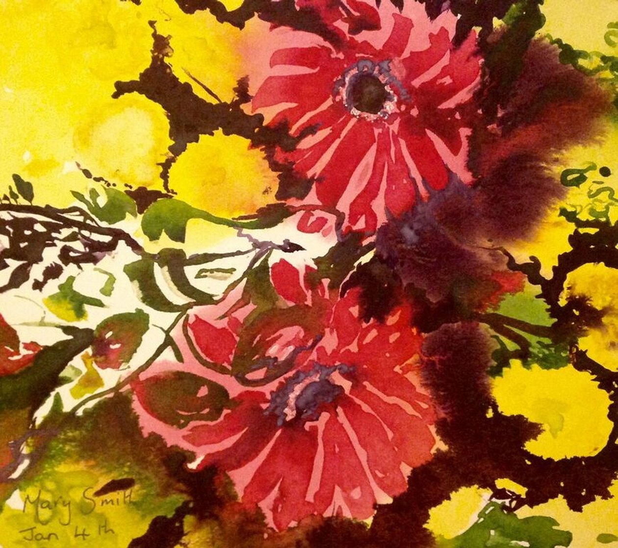 Gerbera