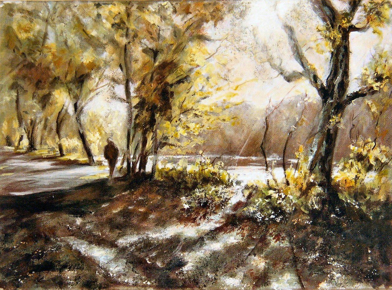 Wandelen langs Rudyard meer door Mary Smith