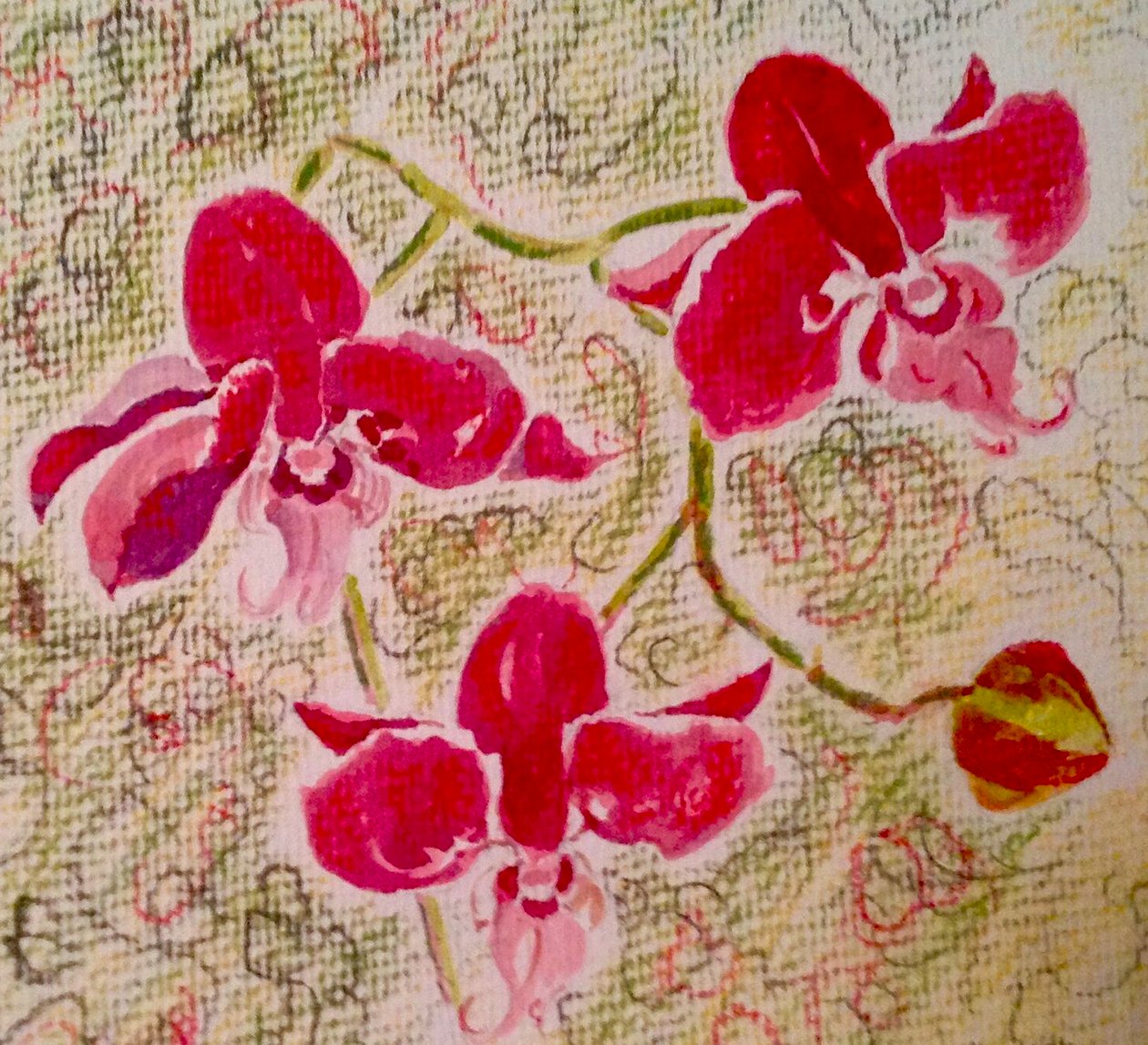 Orchideeën door Mary Smith