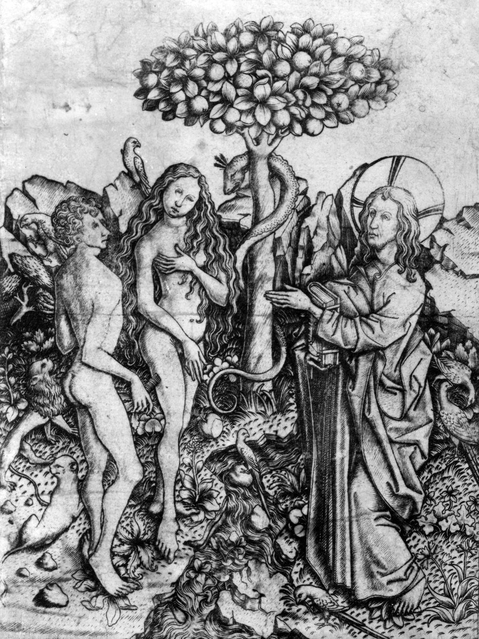 De val van de mensheid, c.1450-67 door Master E. S.