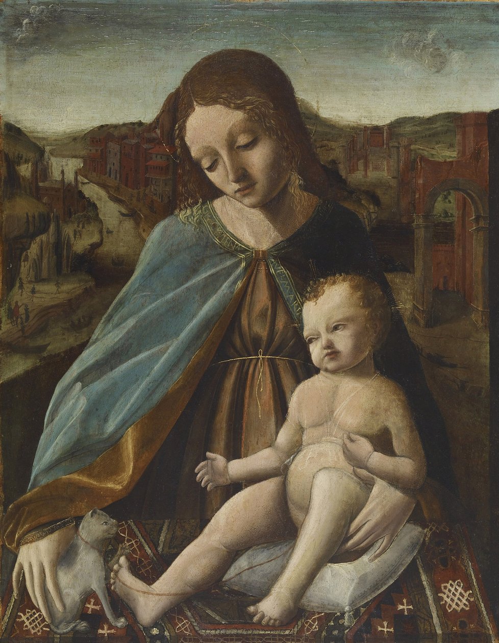 Madonna en kind met kat door Master of the Pala Sforzesca