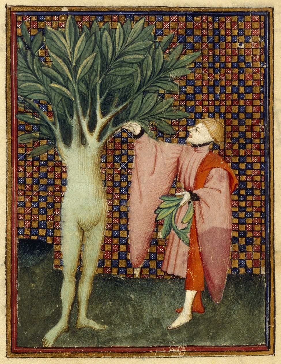 Apollo en Daphne door Master of the Cité des Dames