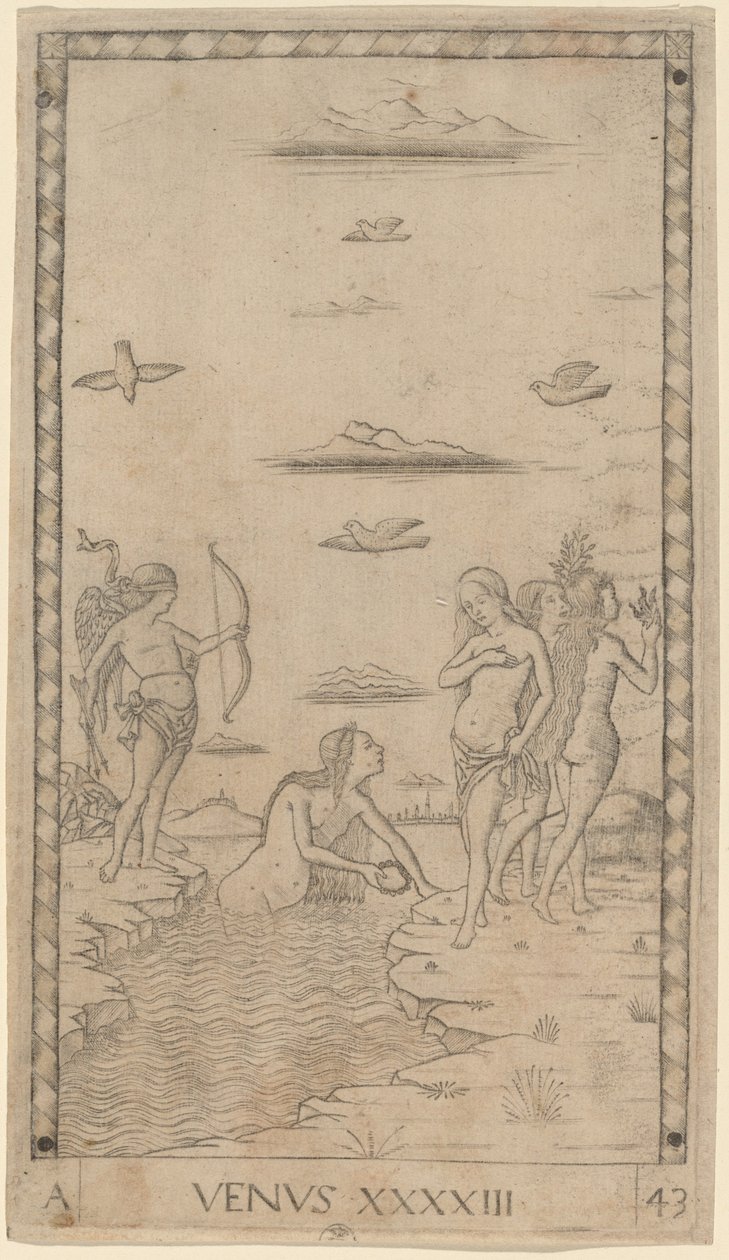 Venus door Master of the E Series Tarocchi