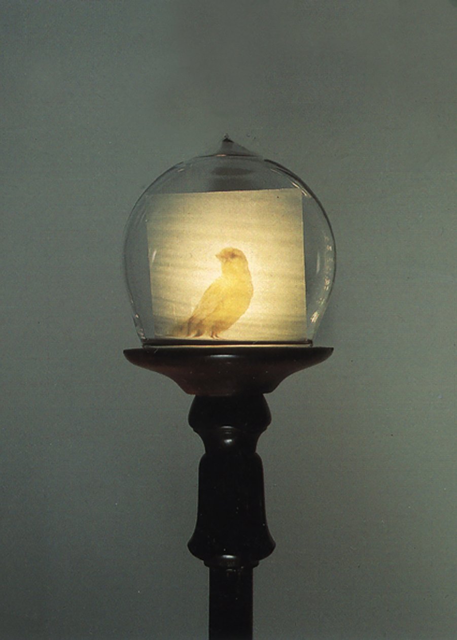 Antiek door Mat Collishaw