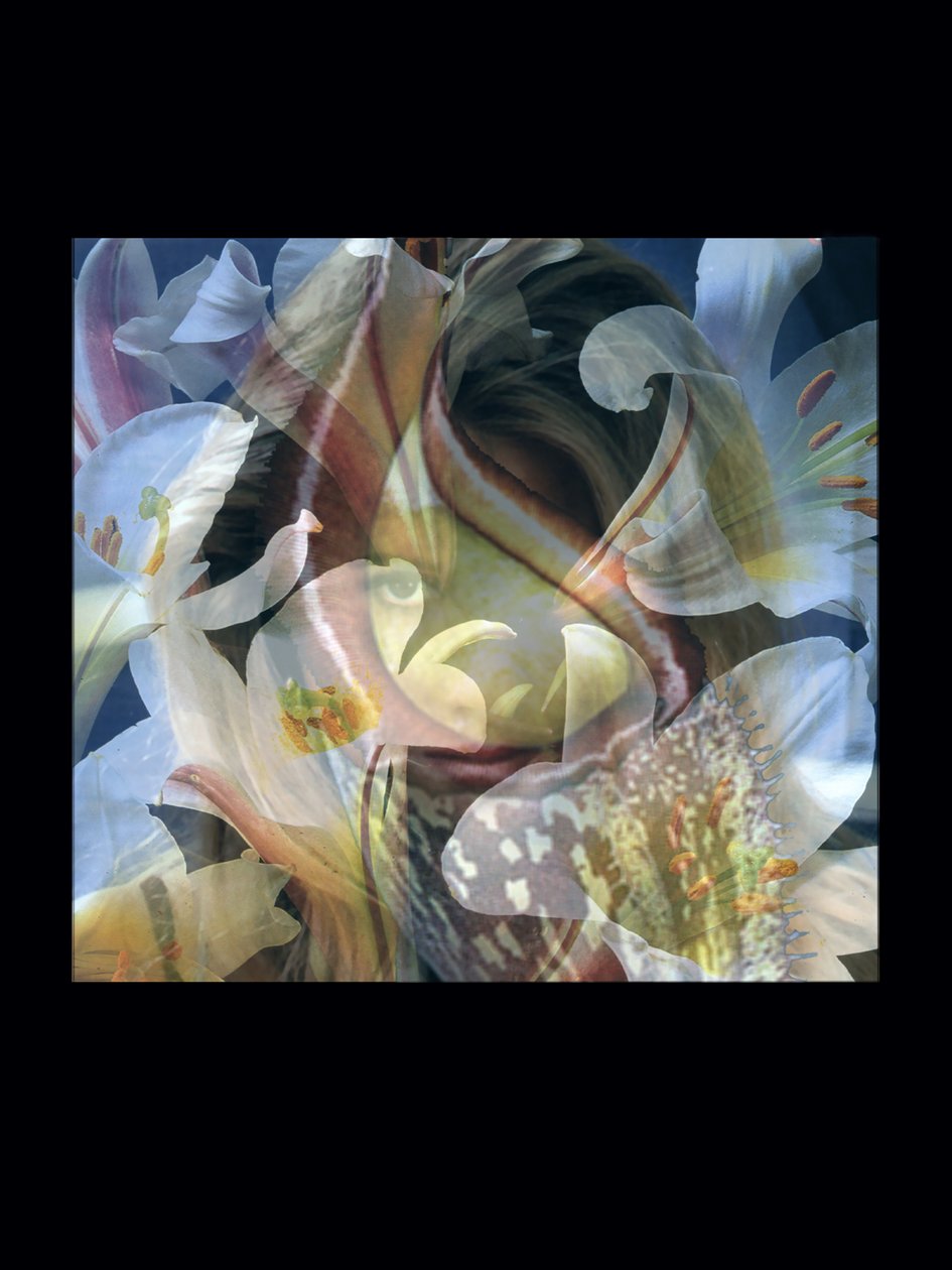 Vleesvreters 3 door Mat Collishaw