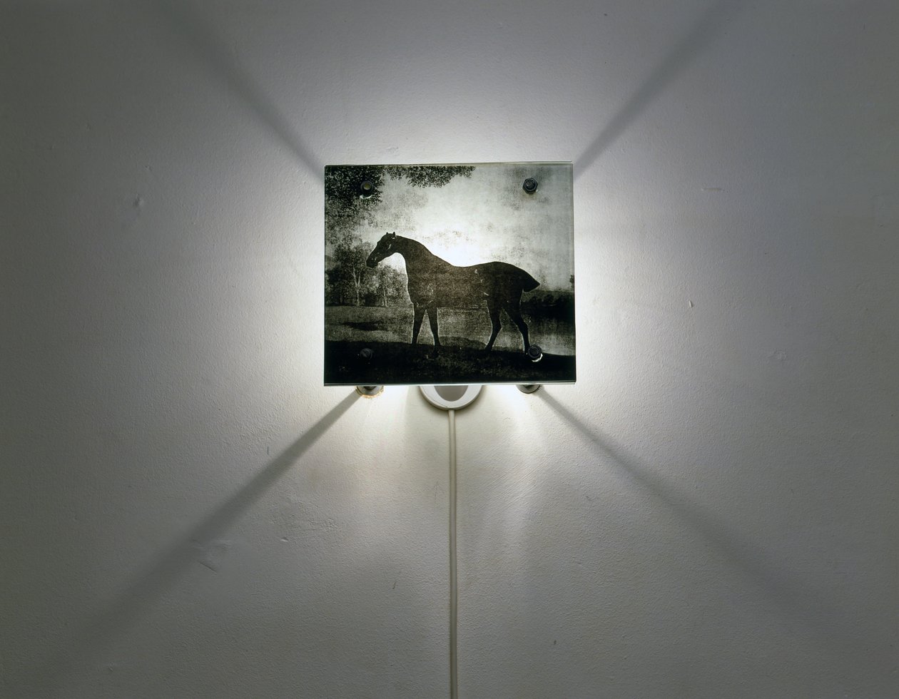 Stubbs Paarden door Mat Collishaw