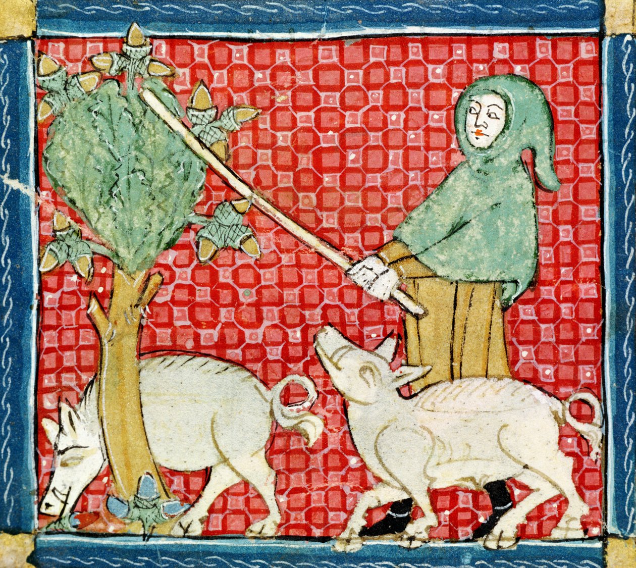 Fol.59v November: Eikels verzamelen door Matfre Ermengaut