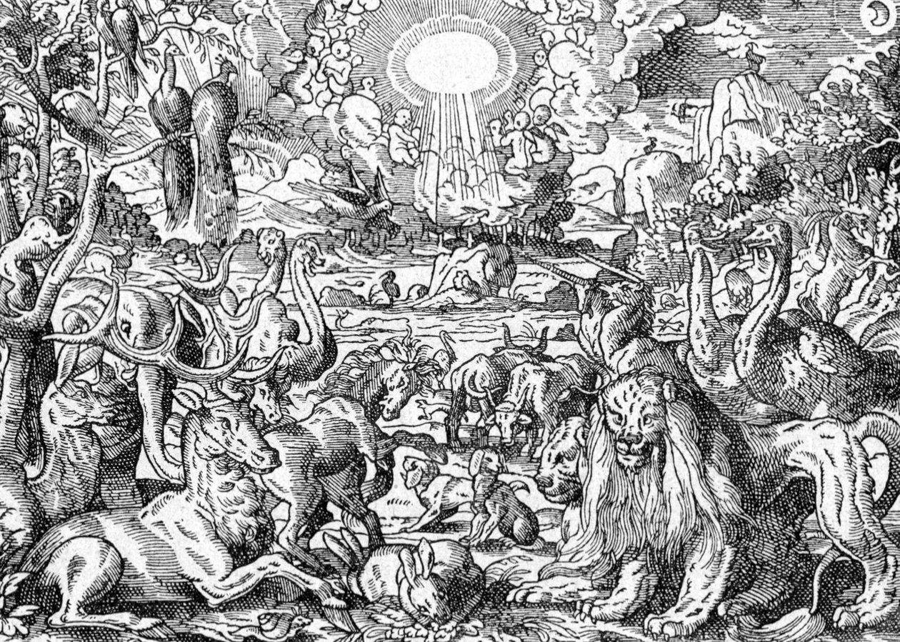Paradijs door Matthaus the Elder Merian