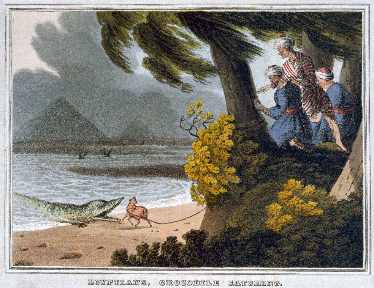 Egyptenaren, krokodillen vangen door Matthew Dubourg