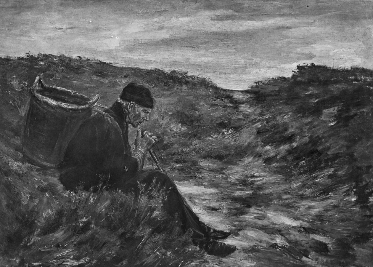 In de duinen door Max Liebermann