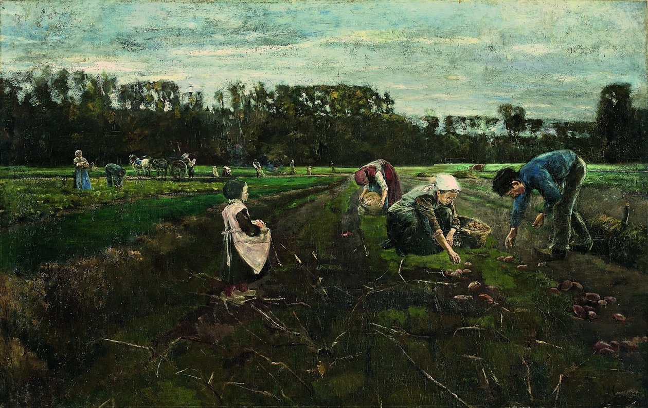 Aardappeloogst door Max Liebermann