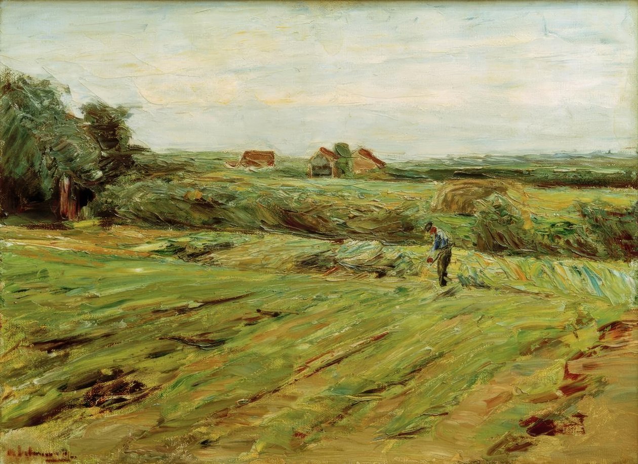 Oogstveld – Koolveld (?) door Max Liebermann