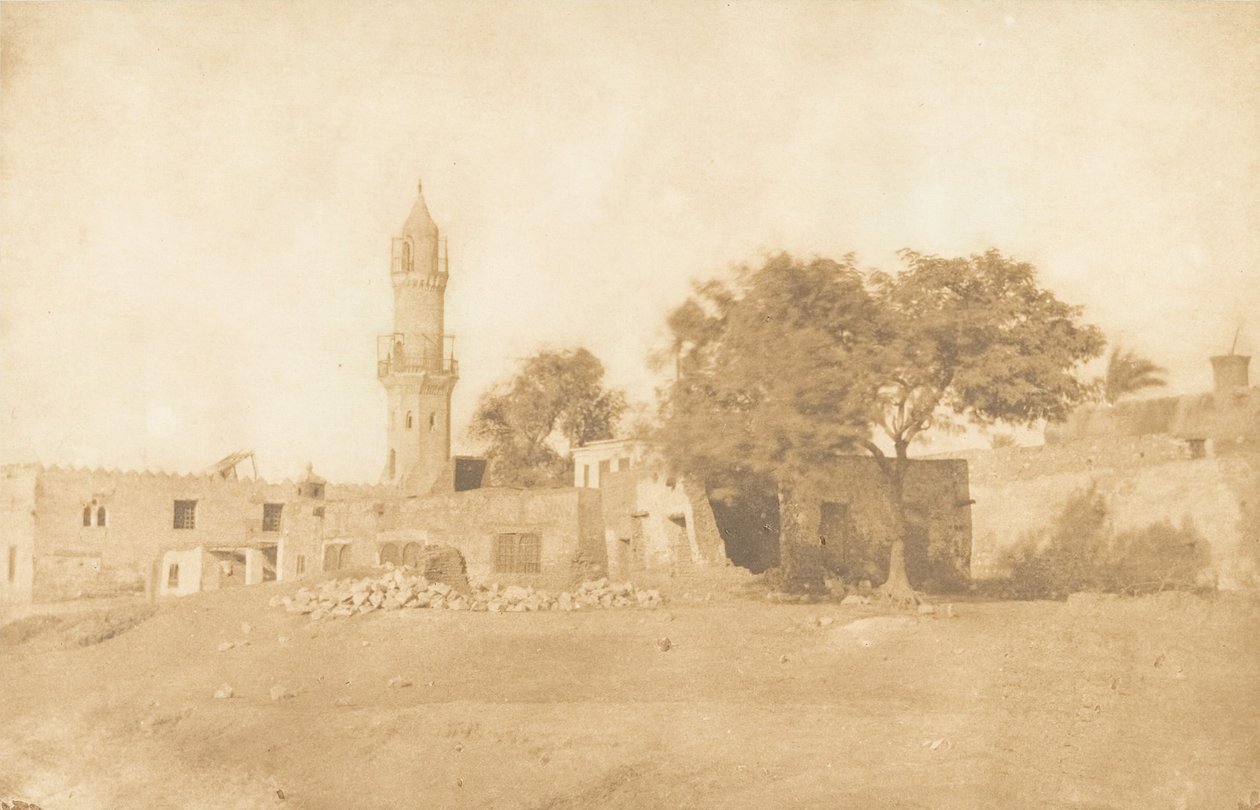 Vue prise à Béni-Souef, 1850 door Maxime Du Camp