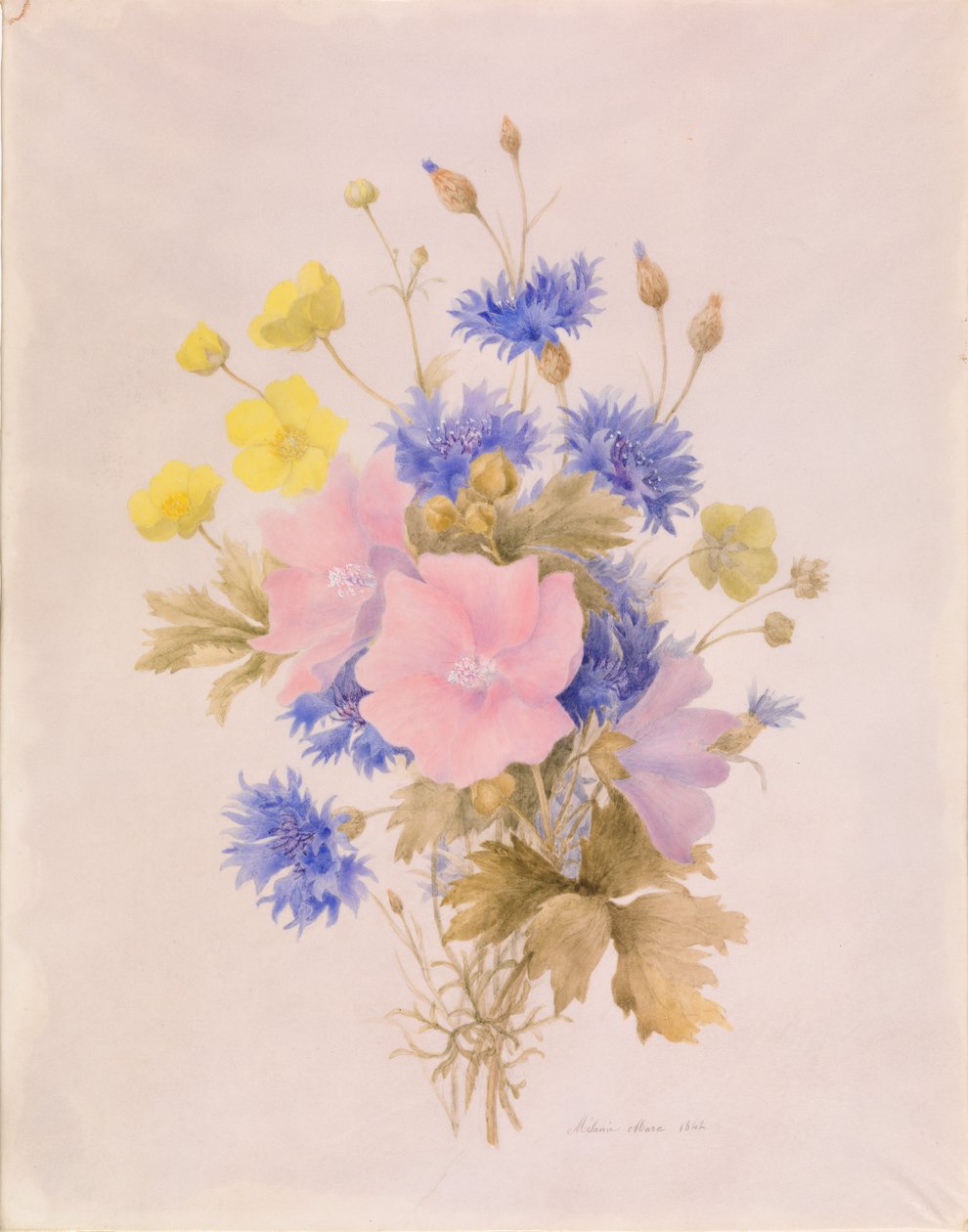 Veldbloemen door Melanie Marc