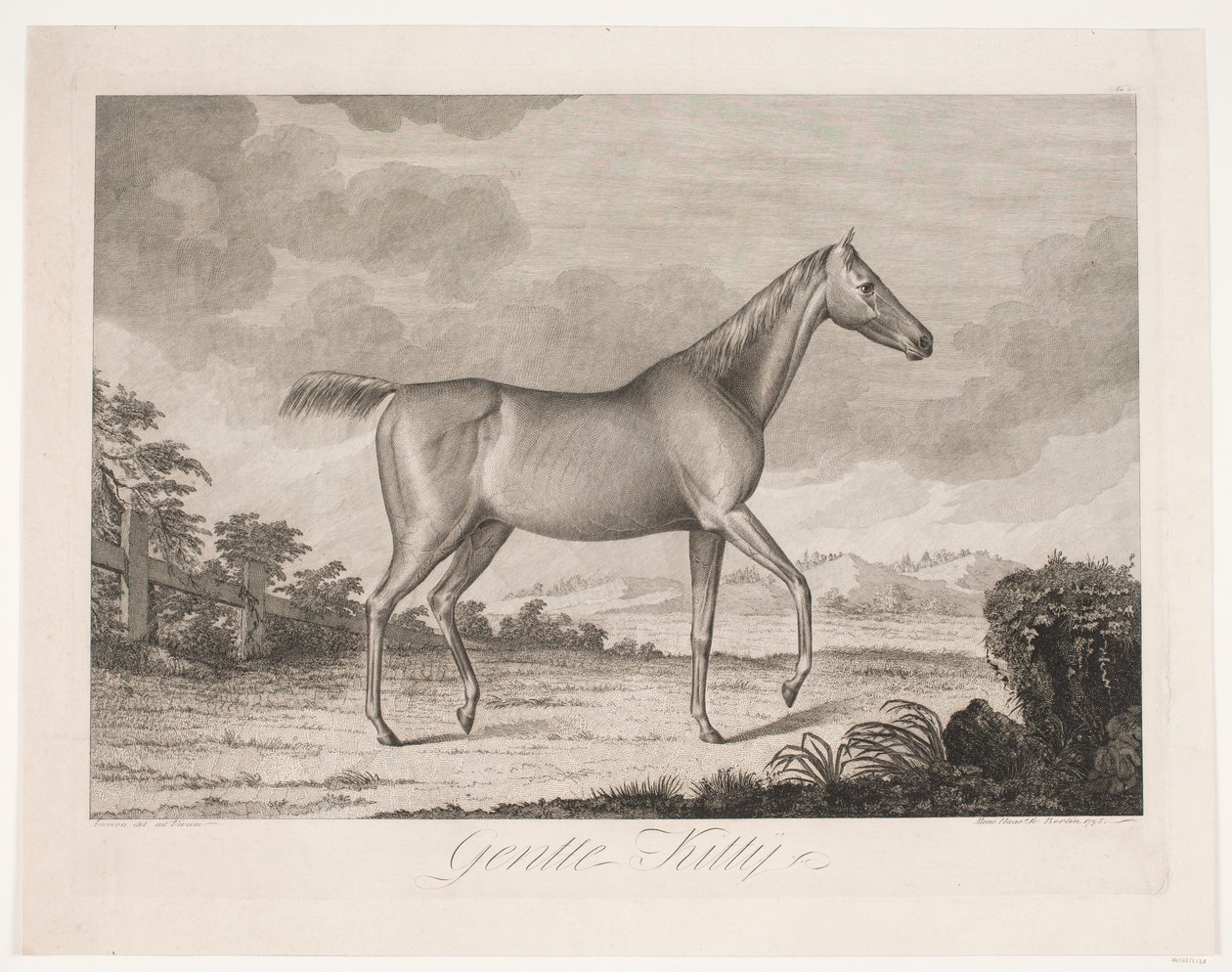 Het paard "Gentle Kitty" door Meno Haas