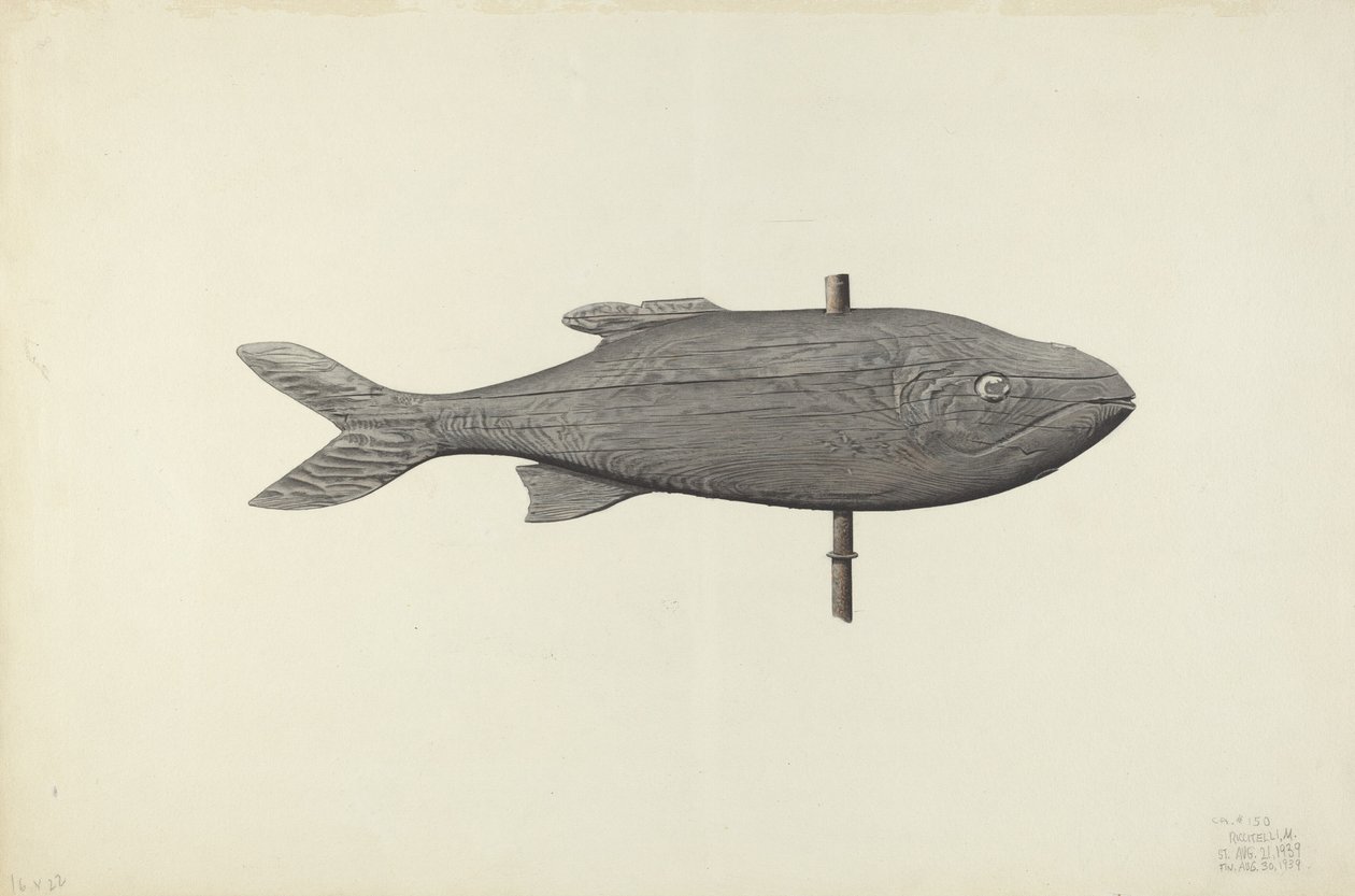 Vis Weerhaan, 1939 door Michael Riccitelli