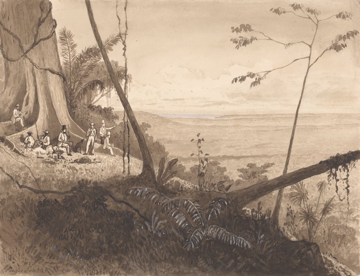 Cedar Point, Mount Tamana door Michel Jean Cazabon