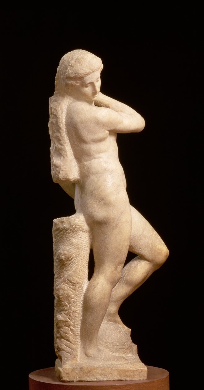 Apollo, of David, c.1530 (marmer) door Michelangelo Buonarroti