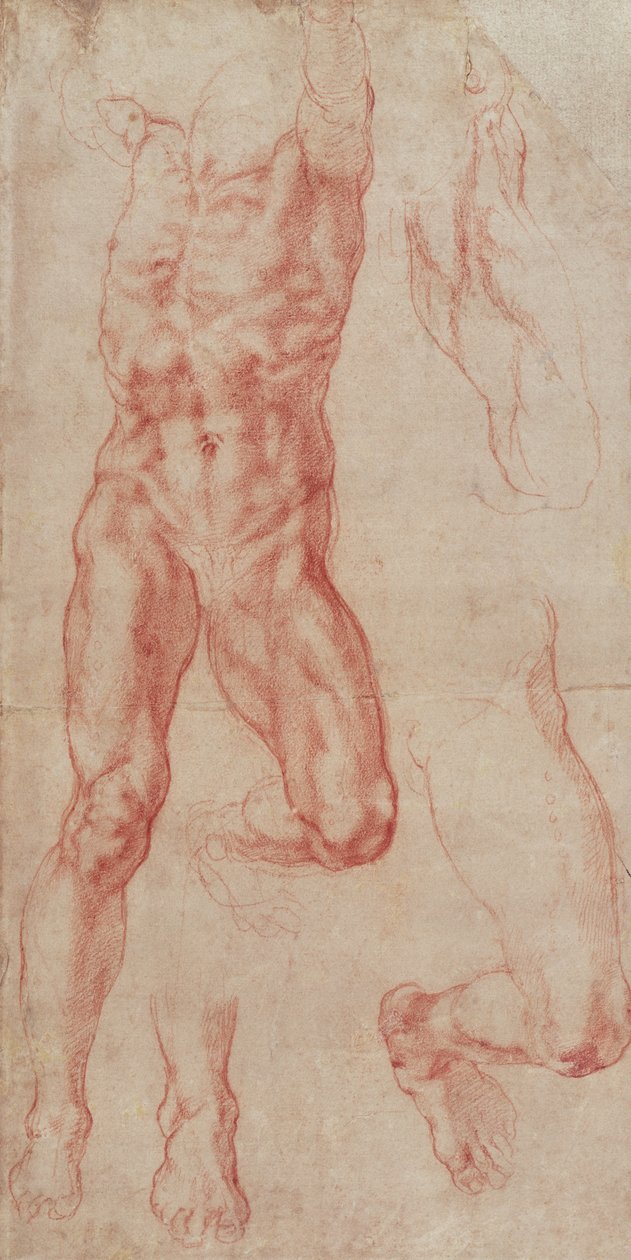 Studie van een mannelijk naakt, omhoog reikend door Michelangelo Buonarroti
