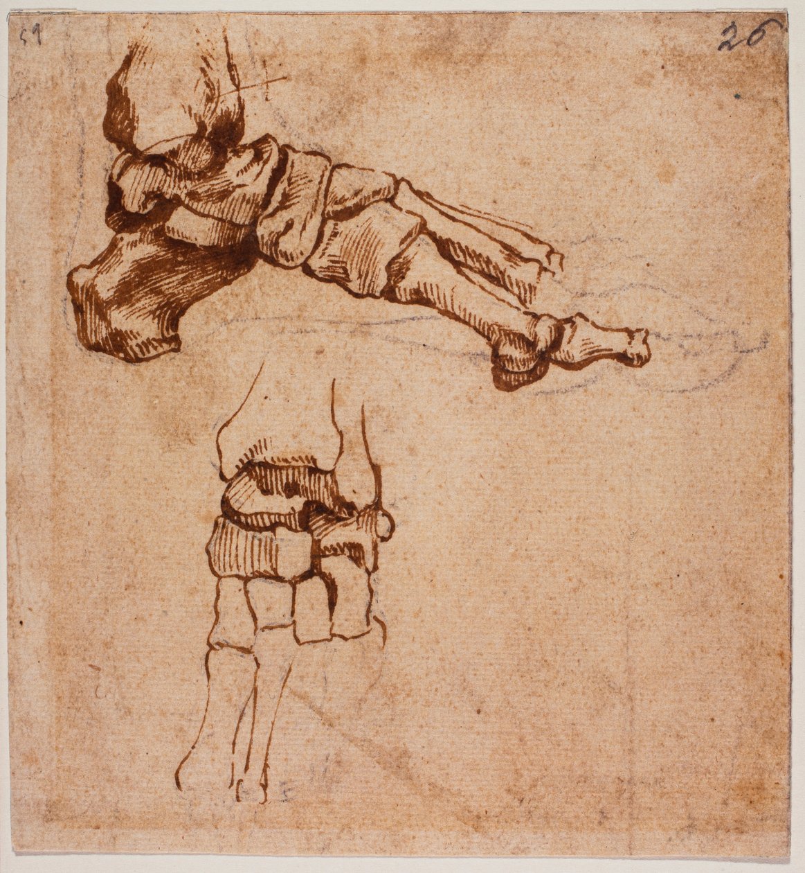 Anatomische voetstudie door Michelangelo (after) Buonarroti