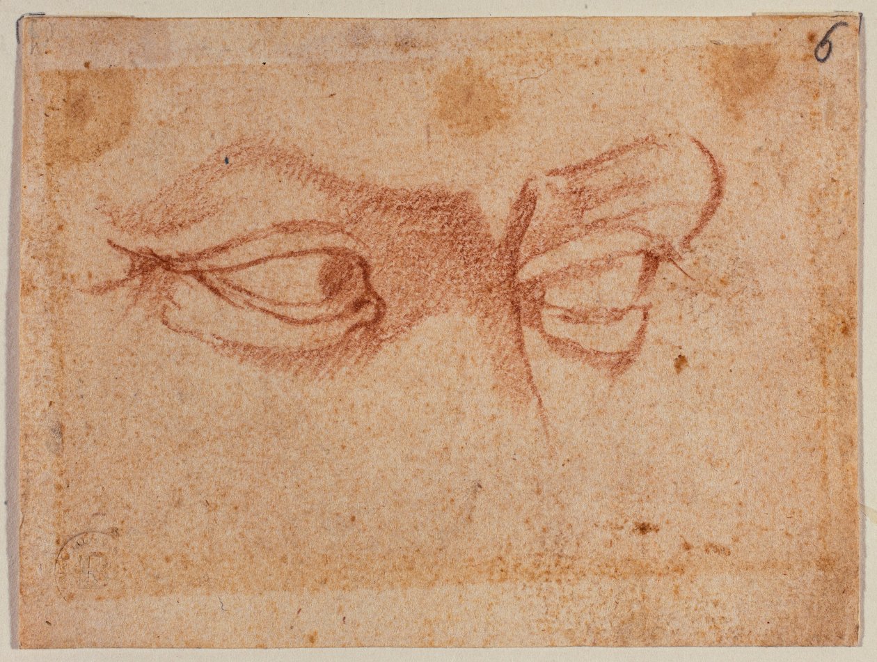 Studie van ogen door Michelangelo (after) Buonarroti