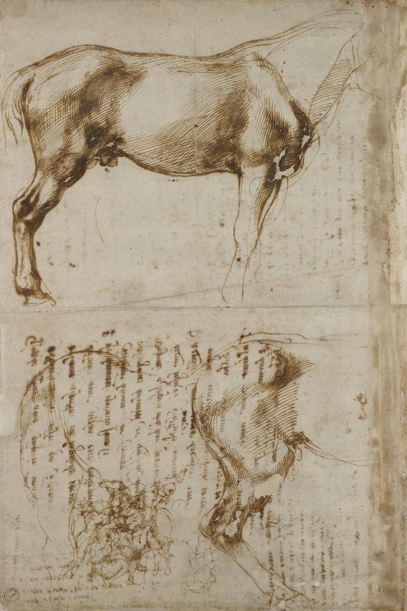 Anatomische studie van een paard, 1504 door Michelangelo Buonarroti