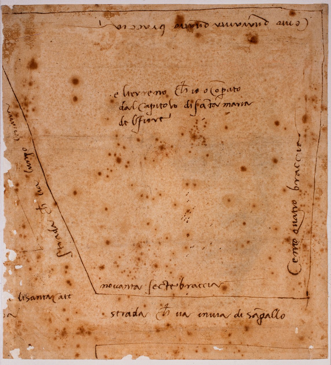 Plattegrond door Michelangelo Buonarroti