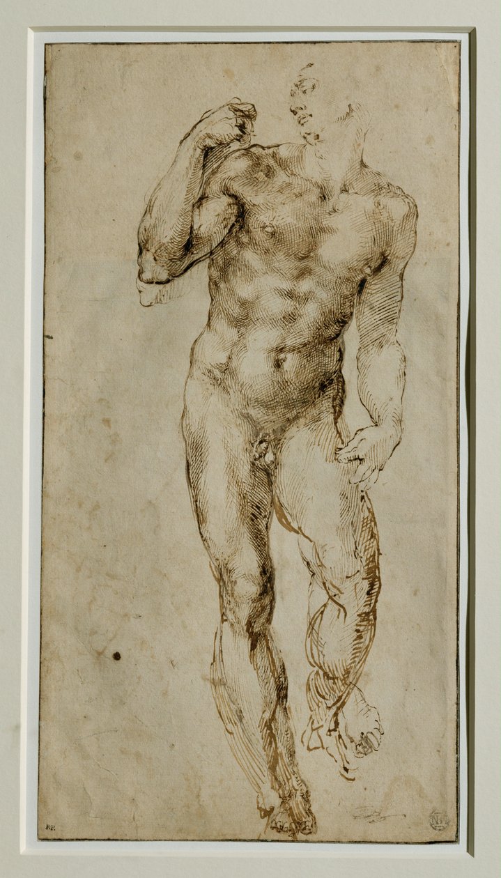 Mannelijk naakt, vooraanzicht, circa 1502-1506 ... door Michelangelo Buonarroti