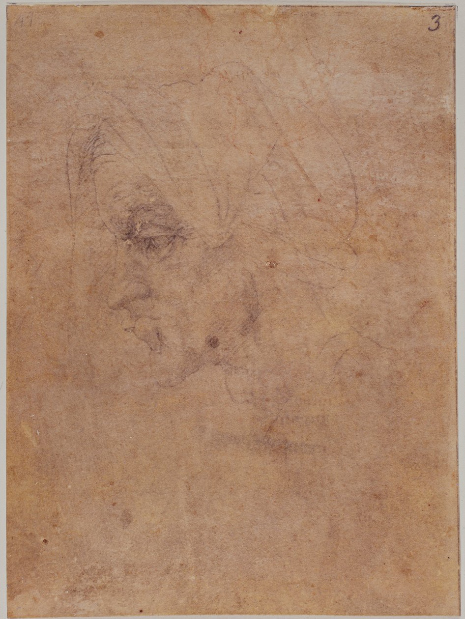 Profiel van een oude vrouw door Michelangelo Buonarroti