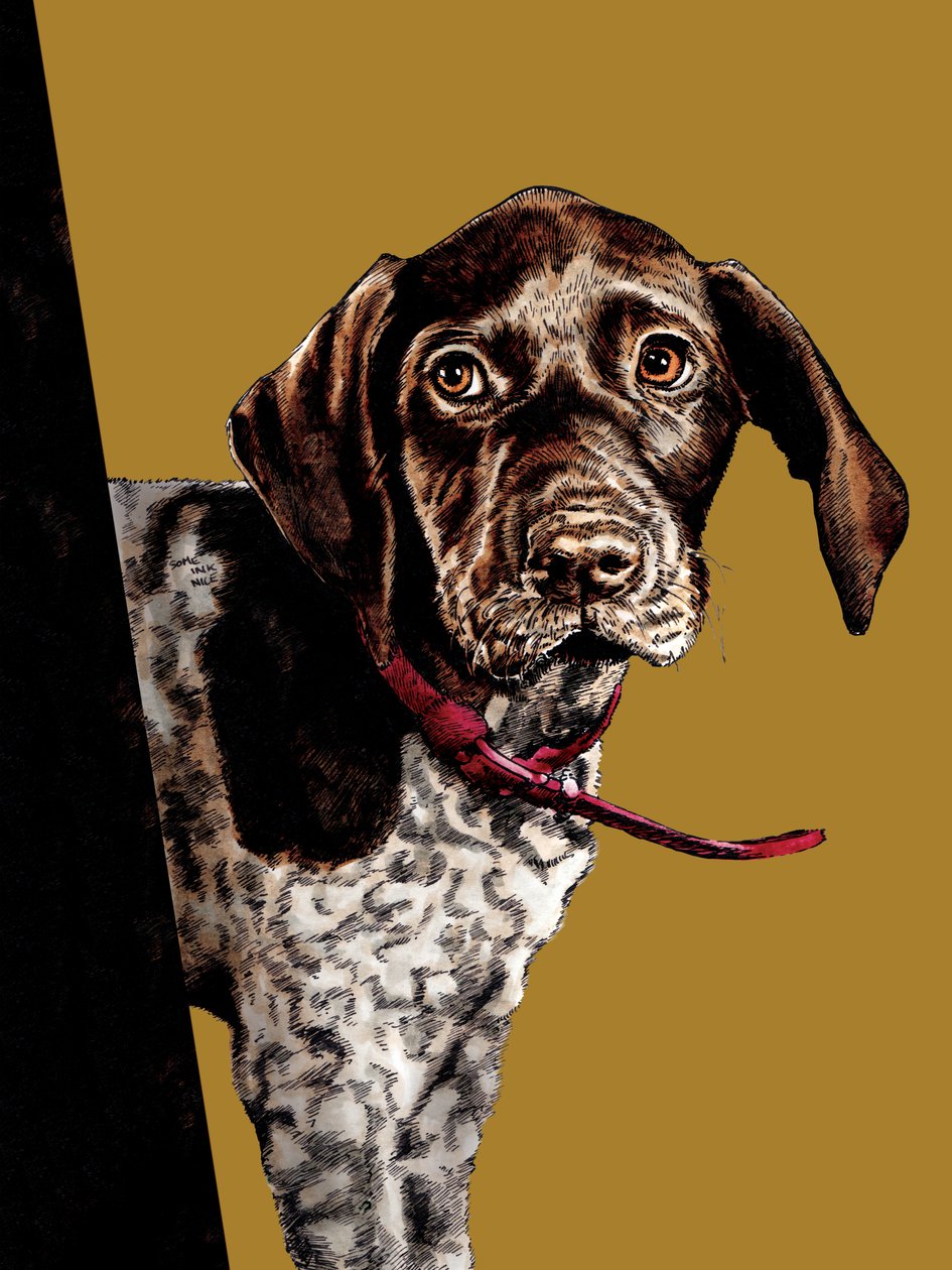 Dag dag puppy op goudgeel, 2020 door Mike Davis