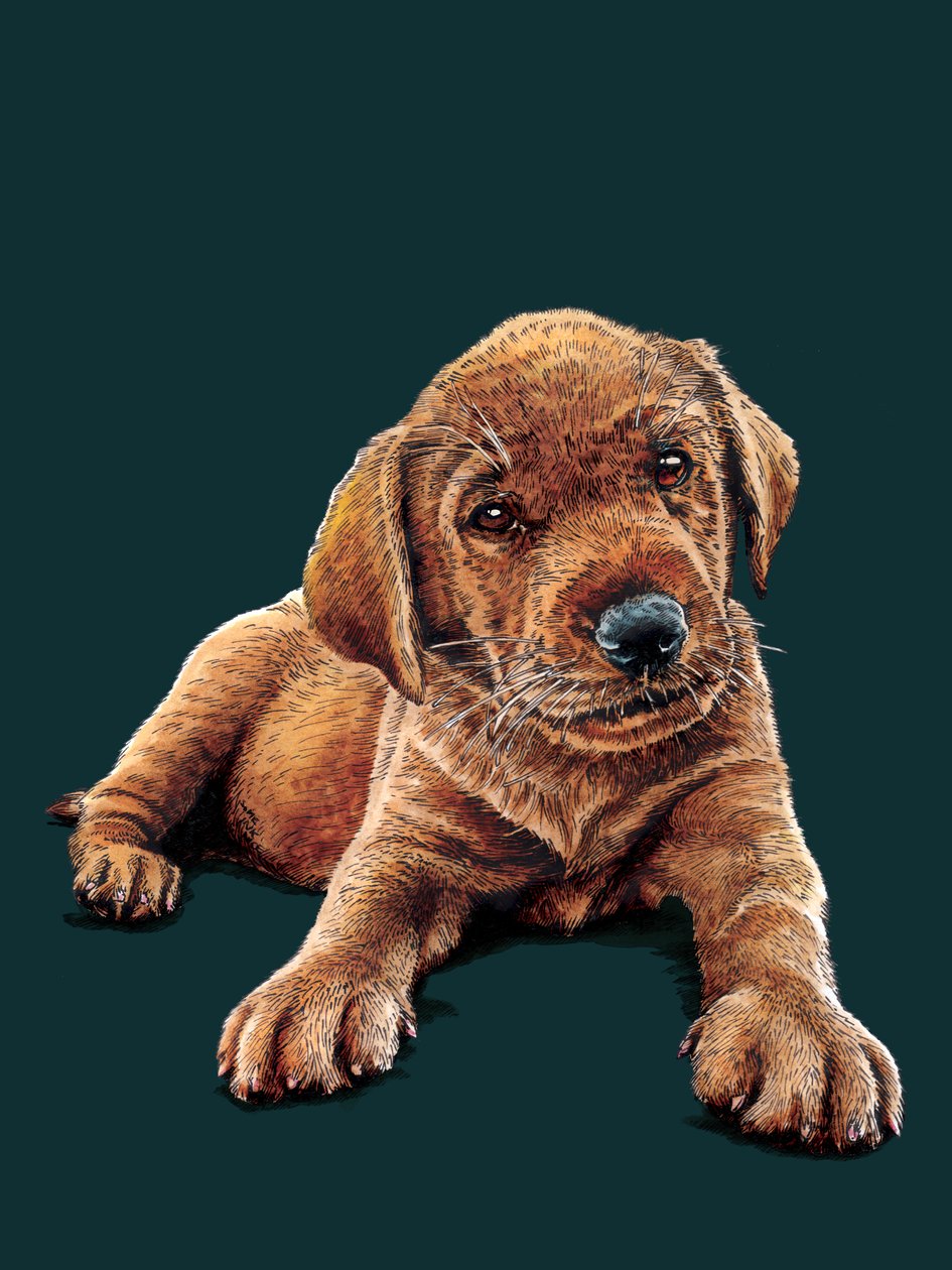 Marge De Puppy op Diep Cyaan door Mike Davis
