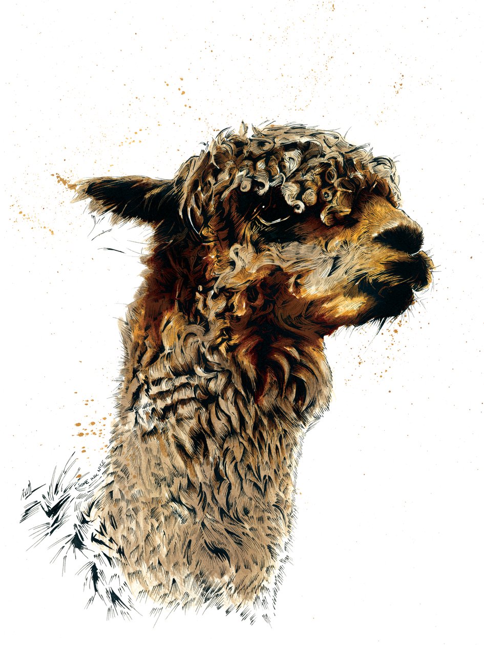 De Alpaca op Wit door Mike Davis